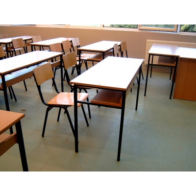 merianas_1_1833508222